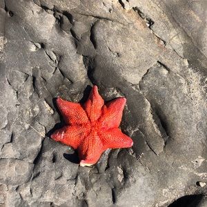 Meet your Posher, Tim